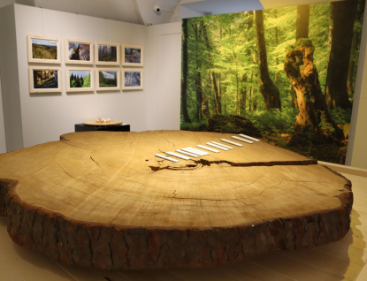 Muzeum zve na výstavu o lesích na Valašsku