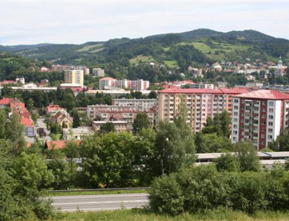 Vsetínská radnice se zabývá stromy na Rybníkách