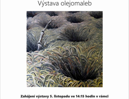V kině Vatra bude uvedena výstava „Z planety brouků“ výtvarníka Jiřího Fialy 