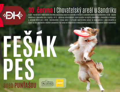 Fešák pes aneb Punťa šou 
