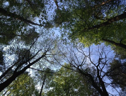 Park před Střední odbornou školou J. Sousedíka ve Vsetíně čeká revitalizace