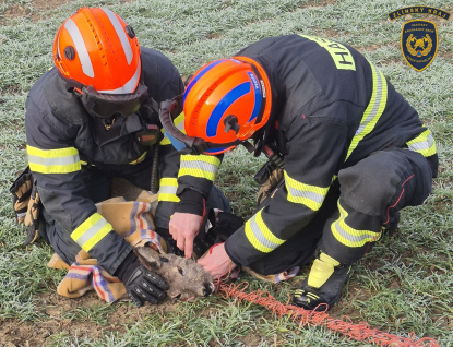Hasiči zachraňovali dusící se srnu 