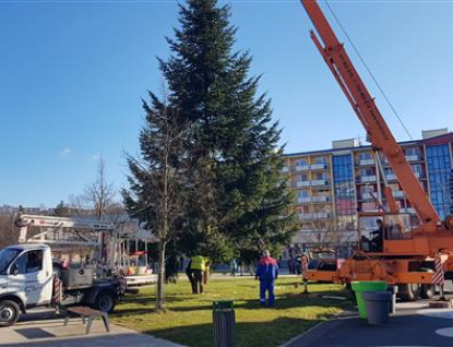 Hledá se vánoční strom pro náměstí Svobody