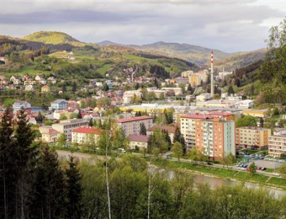 Vlastníci pozemků ve Vsetíně odpovídají za stav zeleně v blízkosti silnic