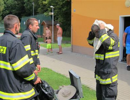 Hasiči v pátek zasahovali na koupališti proti vosám 