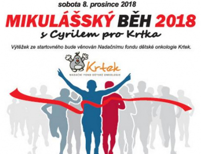 Kam za sportem přes víkend: Hokej, charitativní běh i šachový turnaj