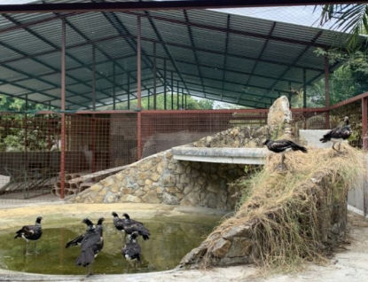 Zlínská zoo pomáhá budovat záchranné centrum v Ekvádoru