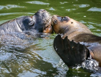 Jarní prázdniny mohou děti prožít i v zoologické zahradě