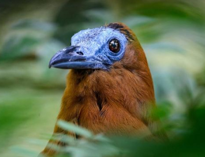 Provoz zlínské zoo má pozitivní dopad na regionální i celostátní ekonomiku