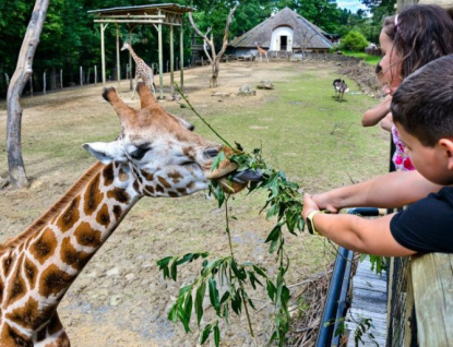 Zlínská zoo rozjíždí projekt na podporu zvířat v ukrajinských zoologických zahradách