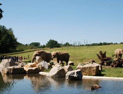 Zlínská zoo se dočkala, po šestitýdenní pauze dnes otevírá