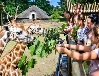 Návštěvníci zlínské zoo mohou poprvé obdivovat pětici aligátorů nebo nakrmit žirafy