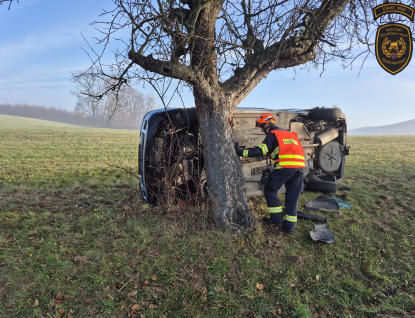 Řidička opřela auto o strom