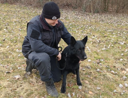 I policejní psi odchází do důchodu. Teď zrovna německý ovčák Alby 