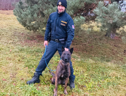 Policejní pes Ludvík vypátral ztraceného chlapce. Utekl a schoval se u potoka