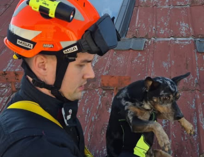 Po vysvobození uvízlého srnce a kočky zachraňovali hasiči ze střechy psa