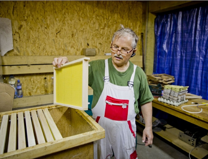 Kraj vloni rozdělil mezi včelaře téměř 1,5 milionu korun