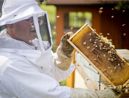 Krajští radní schválili dotace na podporu včelařů, ekologických aktivit, vodohospodářských projektů a boj proti suchu