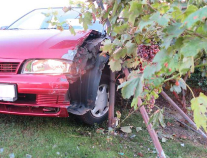 Naboural do vinohradu. Měl přes dvě a půl promile 