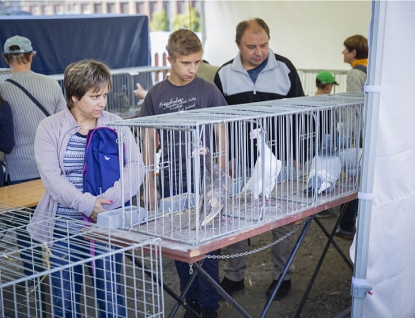 Kraj podpoří nové projekty se zemědělskou tématikou