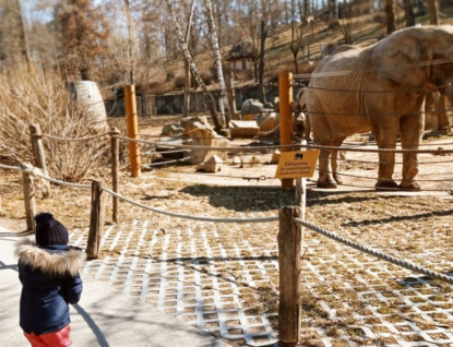 Na Ukrajině trpí i zvířata. Pomáhá se tamním zoo