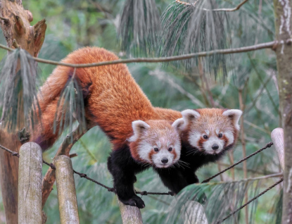 Jarní prázdniny v Zoo Zlín