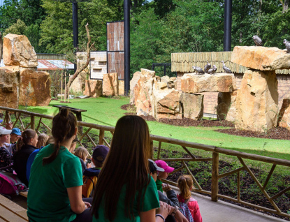 Zoo zve do Gora Arku na zážitek, na který nezapomenete