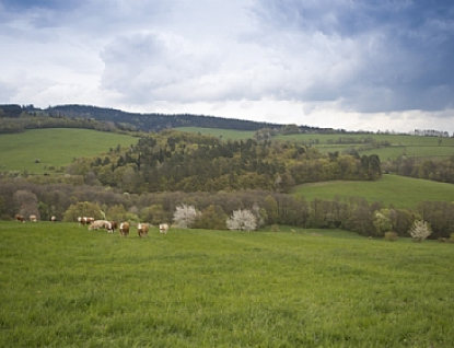 Zlínský kraj zajistí údržbu zvláště chráněných území