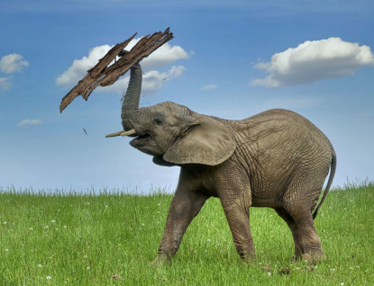 Hranice 800 000 návštěvníků už je nadosah