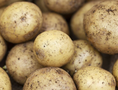 Na poli ukradl 5 kilo brambor. Kvůli recidivě mu hrozí až tři roky