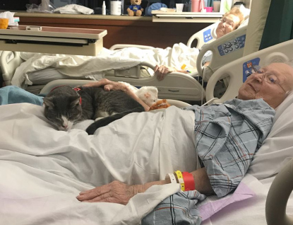 Terapie za pomocí kočky a nové knihobudky - dobrovolníci zavádějí novinky ve zlínské nemocnici