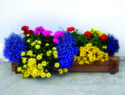 Zahradnické rady na květen: Květen – „všechno ven“