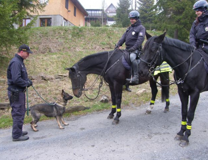  Chaty a rekreační objekty kontrolují policisté na koních i psovodi 