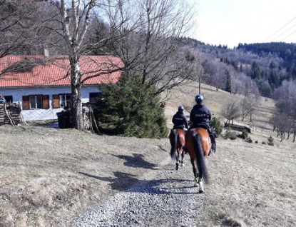 Policisté se zaměřili na kontrolu chat