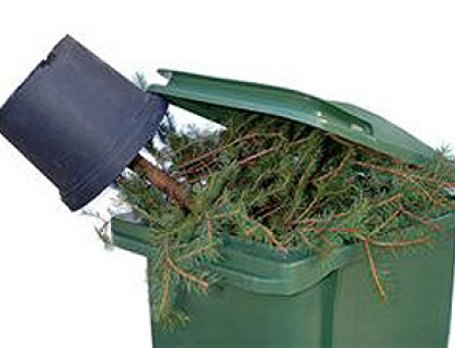 Vánoční stromky stačí složit k popelnici. Město je sváží a štěpkuje na dřevní hmotu
