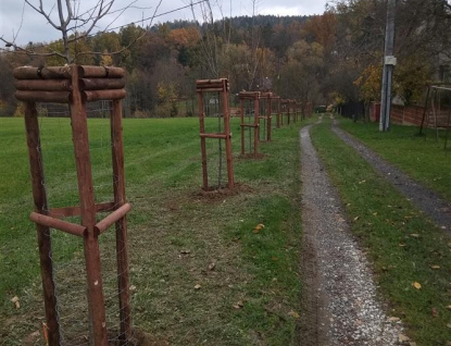 Místní části Valašského Meziříčí zdobí nové stromy