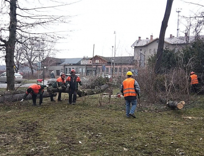 Město zahájilo úpravu zeleně v parku zámku Kinských