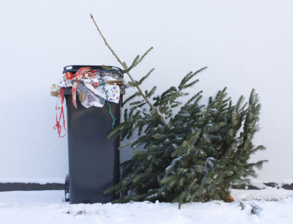 Vánoční stromky stačí složit k popelnici