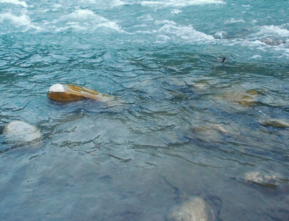 Rozbory vody z Bečvy potvrdily nadlimitní výskyt fosforu