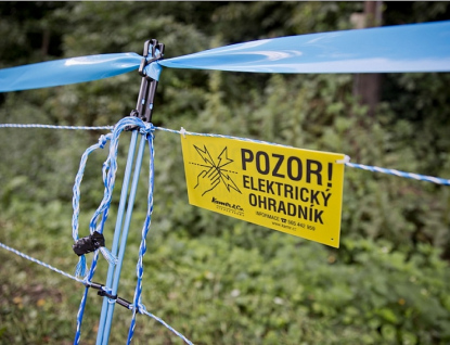 Ve Zlínském kraji se instalují elektrické ohradníky na zabránění migrace divokých prasat