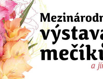 Na meziříčském zámku proběhne mezinárodní výstava mečíků a jiřin