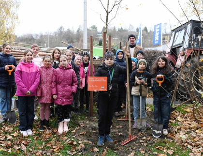 Na Rožnovské ulici je 15 nových bříz