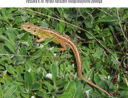 Zoolog a fotograf  Karel Pavelka představí v kině Vatra krásy přírody a krajiny