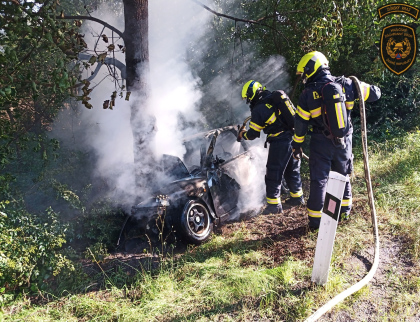 Řidič narazil do stromu. Auto začalo vzápětí hořet