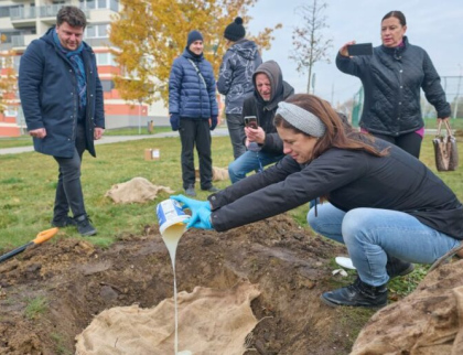 Stromy v Centrálním parku chrání speciální ekologické hydrogely. Vyvinuli je vědci z UTB