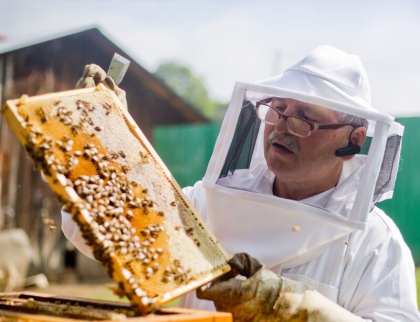 Nový projekt pomůže s ochranou včelstev v příhraničí