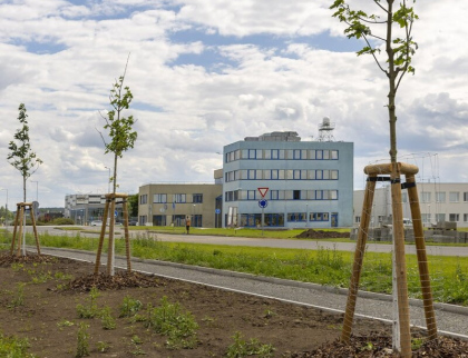 V holešovské průmyslové zóně přibývá zeleně, kraj do ní investuje přes 14 milionů