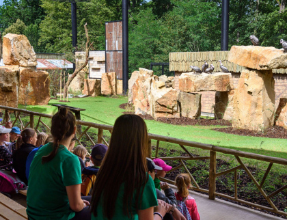 Zoo zve do Gora Arku na zážitek, na který nezapomenete