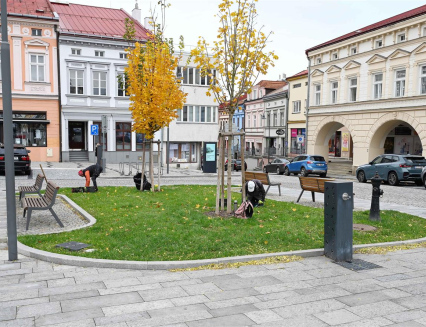 Valmez na jaře ozdobí 45 000 nových cibulovin