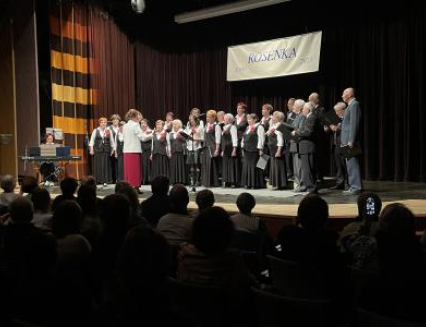 Rožnovští zastupitelé podpořili organizace v oblasti kultury, sociální a sportu